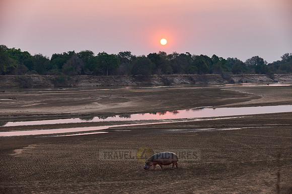 Sunset at South Luangwa river
