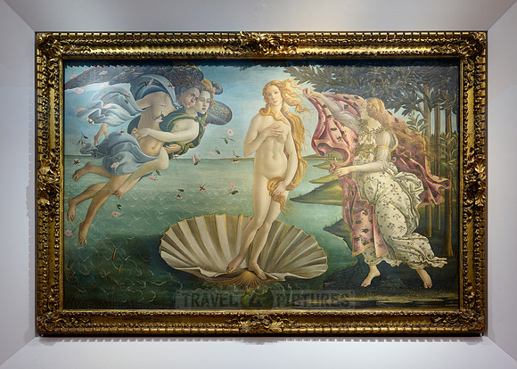 the birth of Venus by Alessandro Botticelli, Uffizi gallery