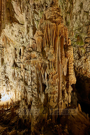 Dripstone column in Postojna Caves