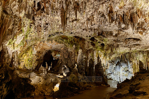 Dripstone column in Postojna Caves