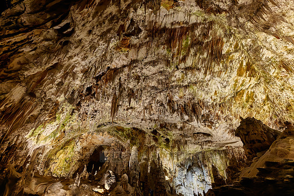 Dripstone column in Postojna Caves