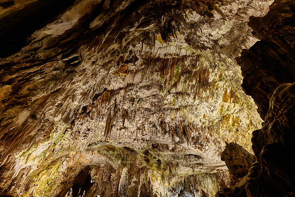 Dripstone column in Postojna Caves