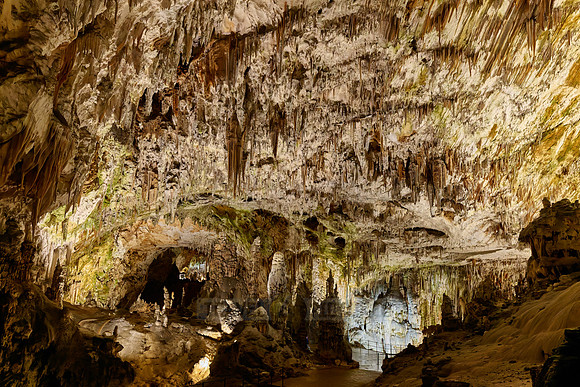 Dripstone column in Postojna Caves