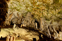 Dripstone column in Postojna Caves
