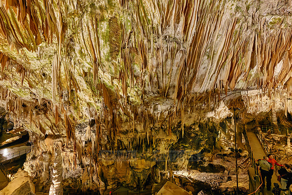 Dripstone column in Postojna Caves