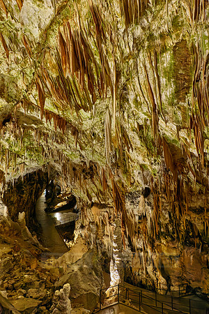 Dripstone column in Postojna Caves