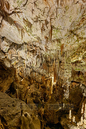 Dripstone column in Postojna Caves