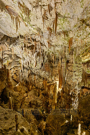 Dripstone column in Postojna Caves