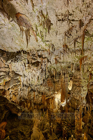 Dripstone column in Postojna Caves