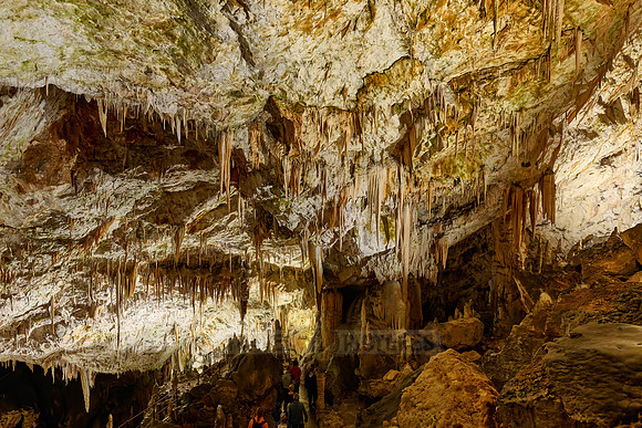 Dripstone column in Postojna Caves