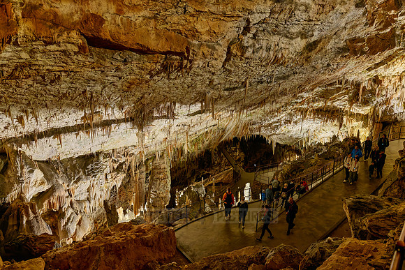 Dripstone column in Postojna Caves