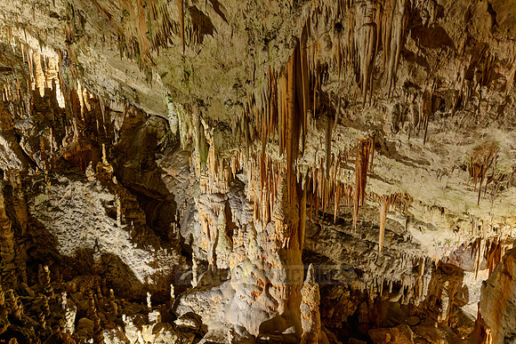Dripstone column in Postojna Caves