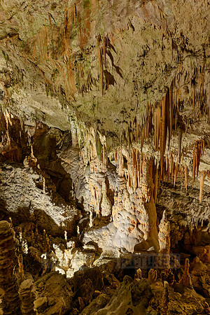 Dripstone column in Postojna Caves