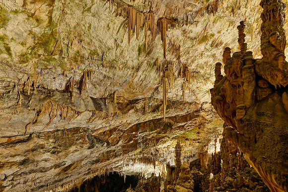 Dripstone column in Postojna Caves