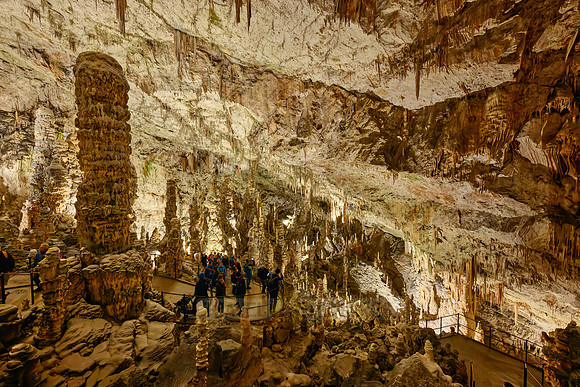 Dripstone column in Postojna Caves