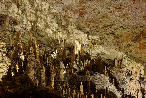 Dripstone column in Postojna Caves