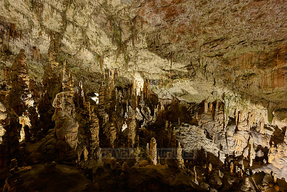 Dripstone column in Postojna Caves