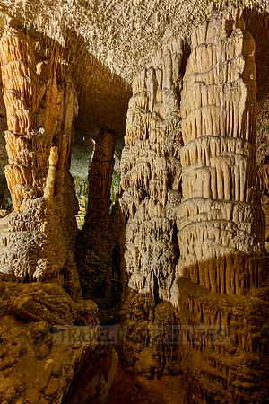 Dripstone column in Postojna Caves