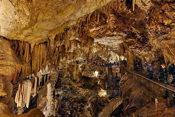 Dripstone column in Postojna Caves