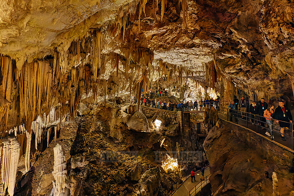 Dripstone column in Postojna Caves
