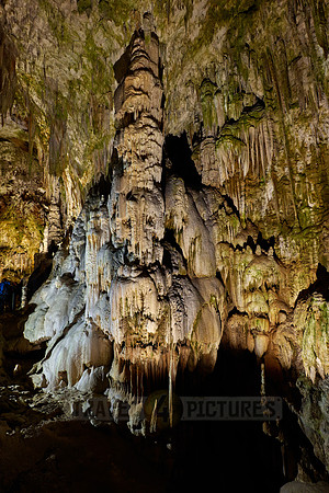Dripstone column in Postojna Caves