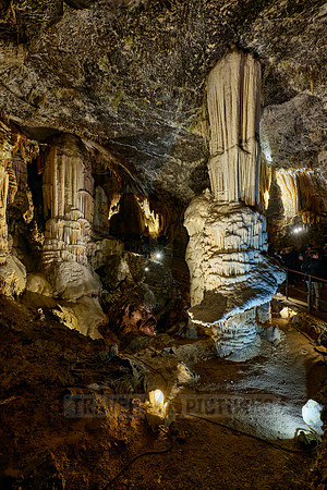 Dripstone column in Postojna Caves