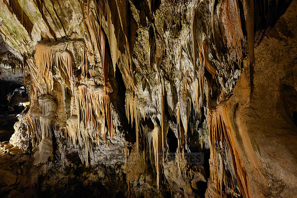 Dripstone column in Postojna Caves