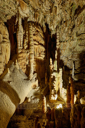 Dripstone column in Postojna Caves