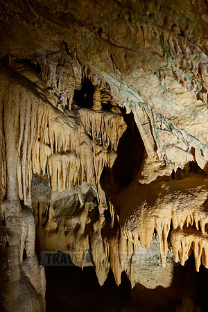 Dripstone column in Postojna Caves