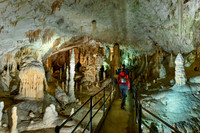 Dripstone column in Postojna Caves