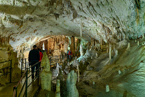 Dripstone column in Postojna Caves