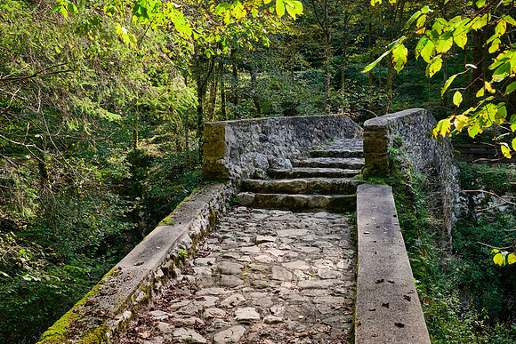Napoleon bridge, Napoleonov most