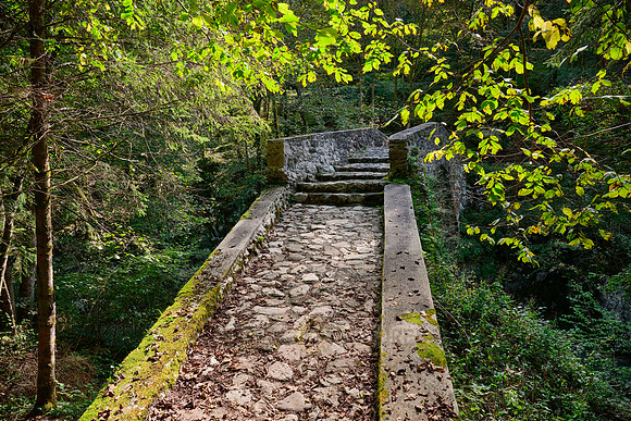 Napoleon bridge, Napoleonov most