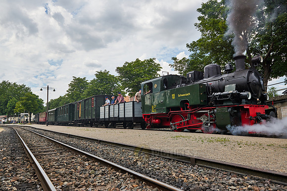 historic narrow-gauge railway