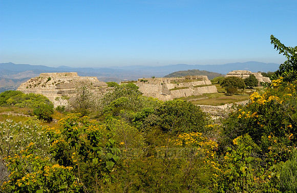 Pyramids of  Monte Alban