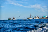 fishing vessels running out for fishing