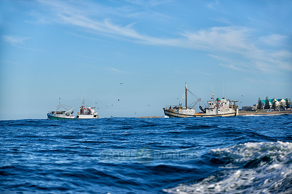 fishing vessels running out for fishing
