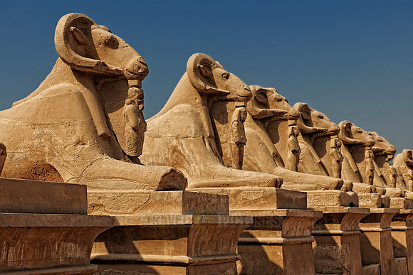 Corridor of ram-headed sphinxes at entrance