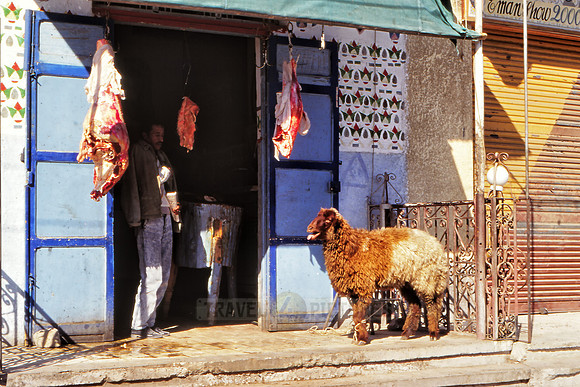 local Egyptian at butchery