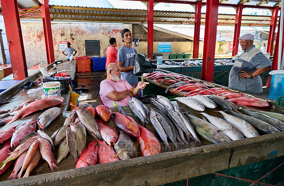 fish market on Sir Selwyn Clarke Market