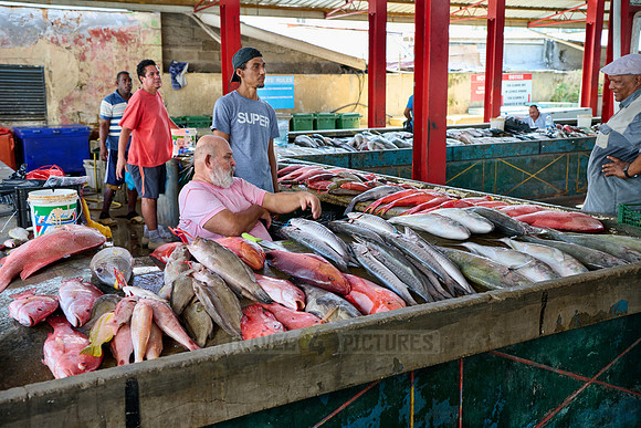 fish market on Sir Selwyn Clarke Market