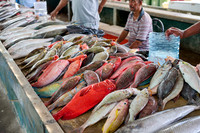 fish market on Sir Selwyn Clarke Market