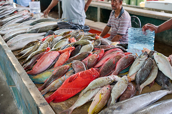 fish market on Sir Selwyn Clarke Market