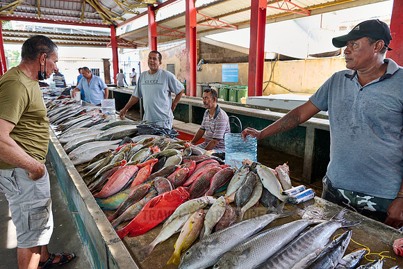 fish market on Sir Selwyn Clarke Market