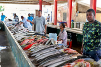fish market on Sir Selwyn Clarke Market