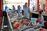 fish market on Sir Selwyn Clarke Market