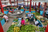 vegetable and fruit stalls on Sir Selwyn Clarke Market