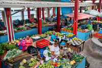 vegetable and fruit stalls on Sir Selwyn Clarke Market