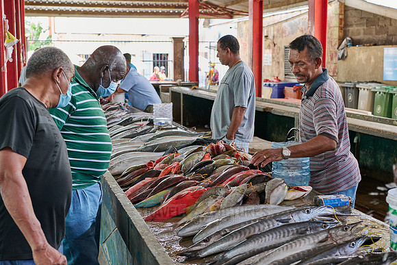 fish market on Sir Selwyn Clarke Market