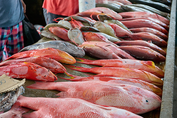 fish market on Sir Selwyn Clarke Market